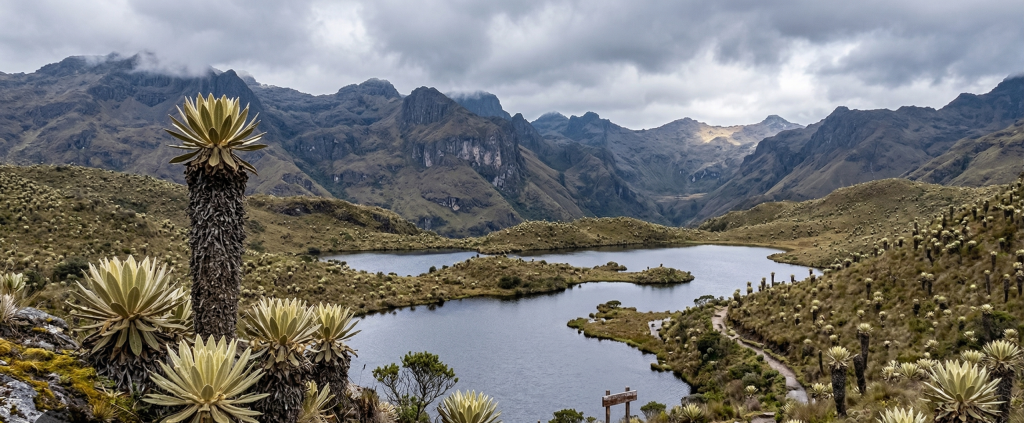 gemini generated image 4pxscv4pxscv4pxs