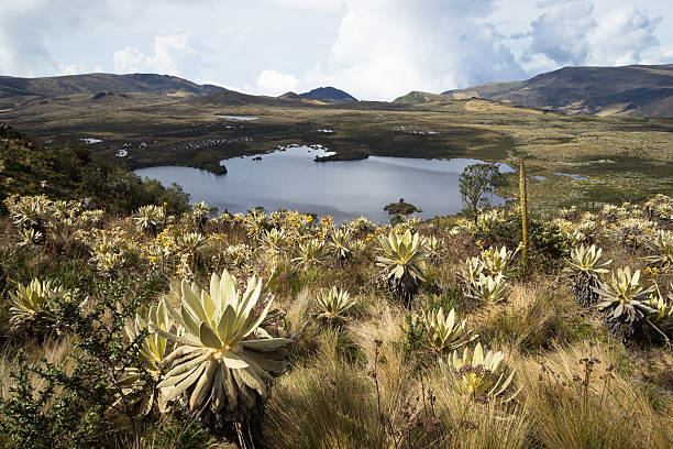 istockphoto 506716554 612x612