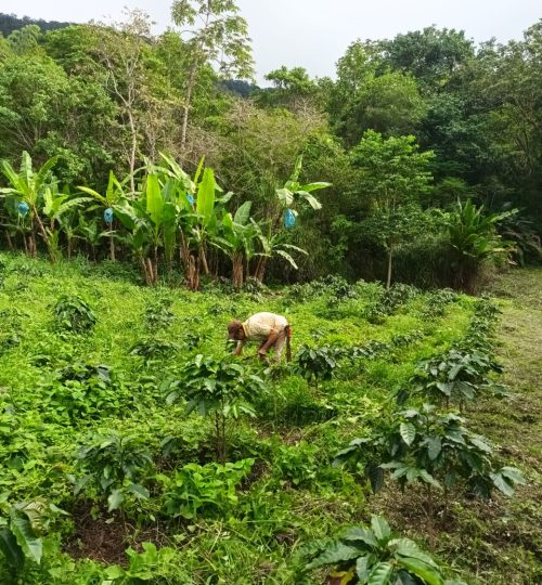 whatsapp image 2025 12 03 at 8.41.17 am