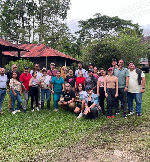 whatsapp image 2025 12 03 at 9.25.56 am