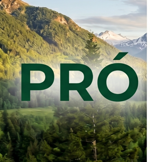 pro