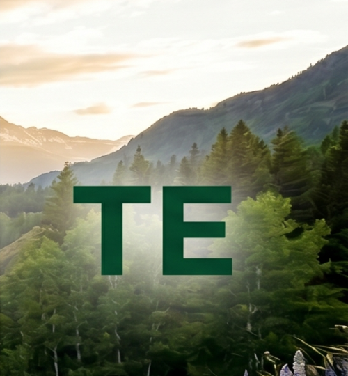 te
